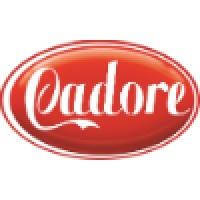Cadore Alimentos logo - Similar company to Eleven Rush