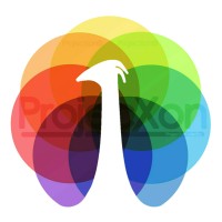 Projecxon® | Digital Marketing & Design Company based in India logo - Similar company to First Thought Digital Marketing Agency