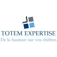 TOTEM EXPERTISE logo - Similar company to Dmcom Company