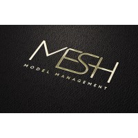 Mesh Model Management logo - Similar company to Array Model Management