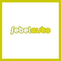Febelauto logo - Similar company to Watt4Ever