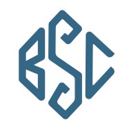 Bernstone Capital logo - Similar company to Finalyze Cfo