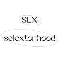 Selextorhood logo - Similar company to Wpsc