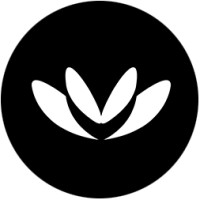 Pasifika Viajes logo - Similar company to Pasifika