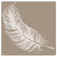 Natural Brand Studios logo - Similar company to Rewild Work