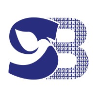 SparrowBytes FinTech Solutions logo - Similar company to Lioonnize