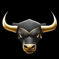 Onyx Capital logo - Similar company to Peak Partners Holding Ag