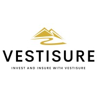 Vestisure logo - Similar company to Solus Technology Solutions