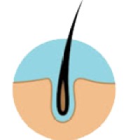 Transhair Hairtransplantation Centre
