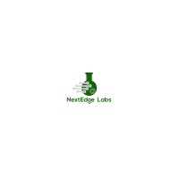 NextEdge Labs logo - Similar company to Buildby.Ai (Formerly Nextedge Labs)