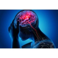 COVID-19 logo - Similar company to Covid-19