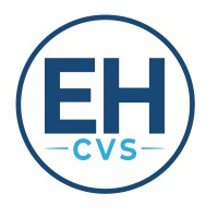 Ealing & Hounslow CVS logo - Similar company to Hounslow Borough Respiratory Support Group