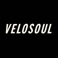 VELOSOUL logo - Similar company to Renoven
