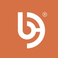 Bridge Egypt logo - Similar company to Ecovair