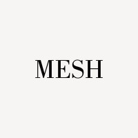 Mesh logo - Similar company to Friendly Studio