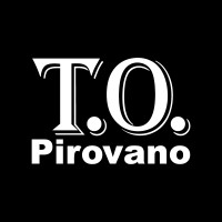 T.O.Pirovano Groep logo - Similar company to Constructiebedrijf Mous B.V.