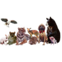Jungle Exotics logo - Similar company to Pinkpayroll