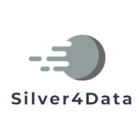 Silver4Data logo - Similar company to Little Blue Studio