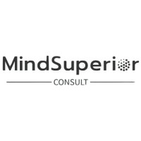 MindSuperior Consult logo - Similar company to Divit Digital
