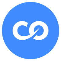 CoPilot Accounting Ltd logo - Similar company to Bespoke Approach