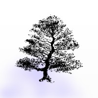AIQ logo - Similar company to Alpha Intelligence Capital
