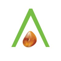 Amber Interiors logo - Similar company to Sfrs Technical Services Llc