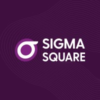 Sigma Square logo - Similar company to Hauraki