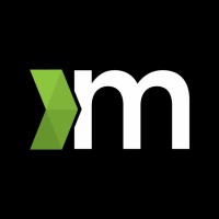 Methys Group logo - Similar company to Yellowsys