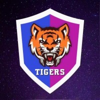 Edtech Tigers logo - Similar company to Conecta Digital