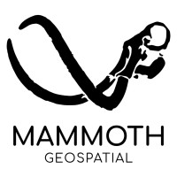 Mammoth Geospatial logo - Similar company to Productengine