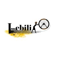 Lebili logo - Similar company to Thoho Energy