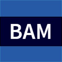 BAM Technologies, LLC logo - Similar company to Talent Forge Partners