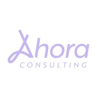 Ahora Consulting logo - Similar company to Mecadaq Tarnos