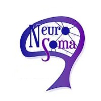 Neurosoma Psicología y Neuropsicología logo - Similar company to Neuroredacer
