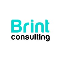 Brint Consulting logo - Similar company to Btf Technology