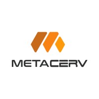 Metacerv logo - Similar company to Itlent