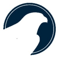 Falcon Marketing Kazakhstan (FMK) logo - Similar company to Mainscher