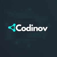 Codinov IT logo - Similar company to Codinove