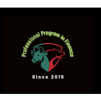 Professional Program in Finance logo - Similar company to Banking & Capital Markets Workshop At Ut Dallas