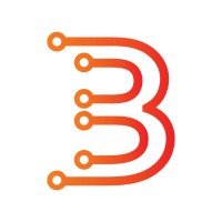 Boston Networks logo - Similar company to Gem Security Services Ltd