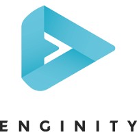 Enginity logo - Similar company to Arcasa Bvba