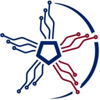 Lone Star IT Consulting logo - Similar company to Data Flags