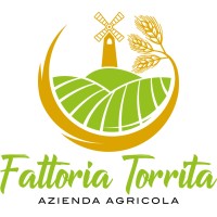 Fattoria Torrita logo - Similar company to Fattoria Riparo
