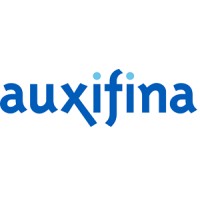 Auxifina NV/SA logo - Similar company to Comtis Services
