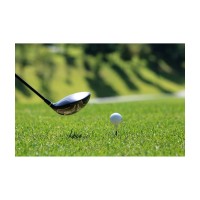 Golf Practice de Douala logo - Similar company to Media Sema