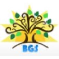 Bodhi Global Solutions Llc