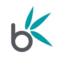 Bamboo Nine logo - Similar company to Designate