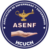 Asociación de Enfermeras y Enfermeros del Hospital Clínico de la Universidad de Chile logo - Similar company to 4Hc Capacitaciones