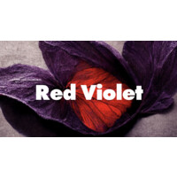 Red Violet Films logo - Similar company to Red Violet (Nasdaq: Rdvt)