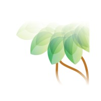 Banyan Tree Marketing & Consulting logo - Similar company to Tidal Cfo